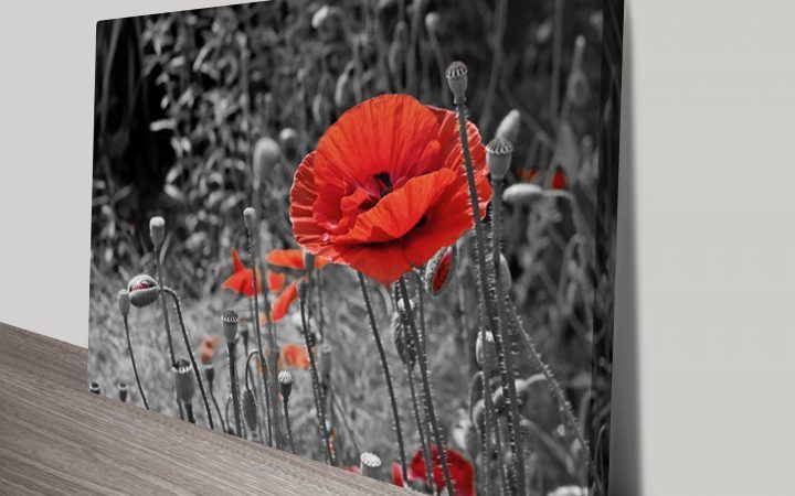 20 Best Collection of Red Poppy Canvas Wall Art