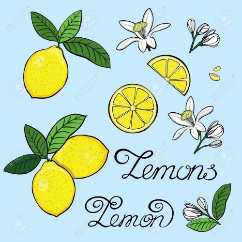 Lemon Wall Art (Photo 4 of 20)