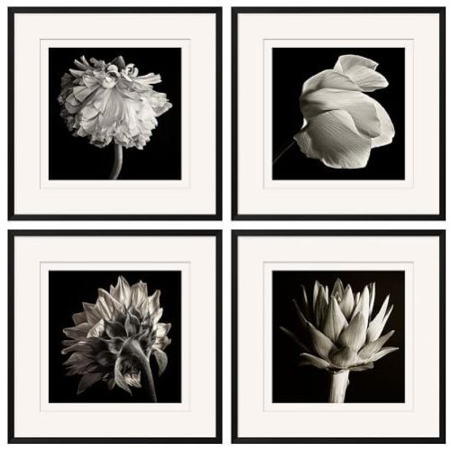 Flower Framed Art Prints (Photo 20 of 20)