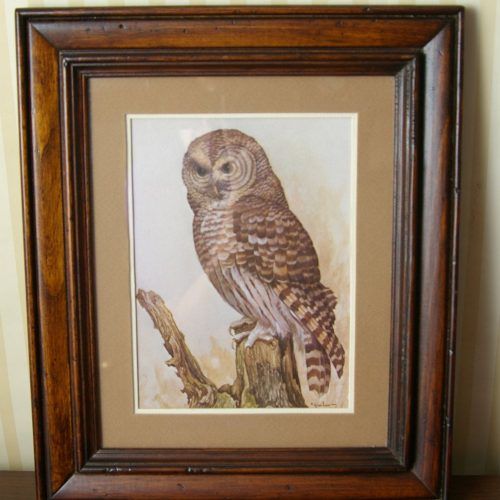 The Owl Framed Art Prints (Photo 1 of 20)