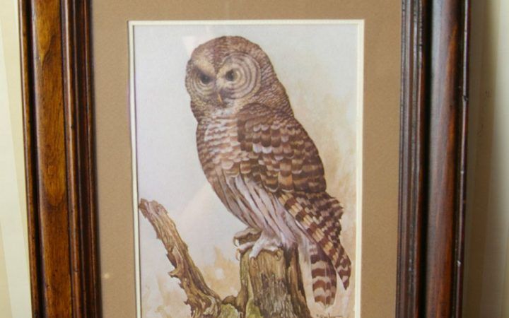 2024 Popular The Owl Framed Art Prints