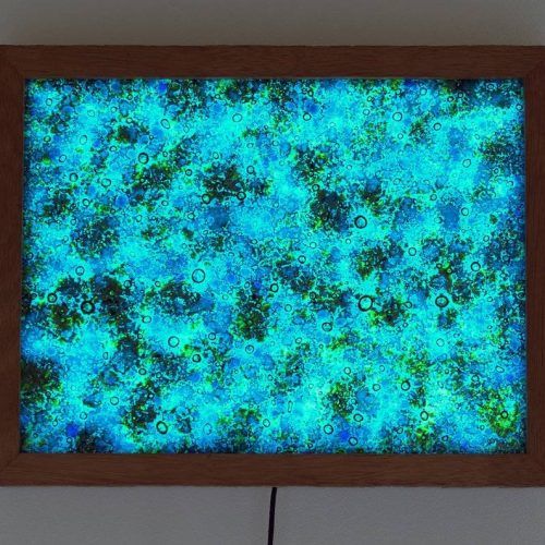 Fused Glass Wall Art (Photo 25 of 25)