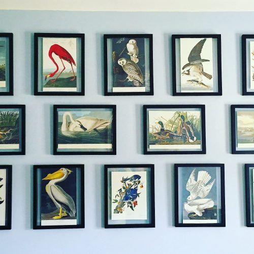 Birds Framed Art Prints (Photo 8 of 15)