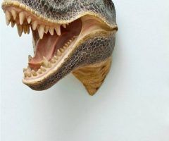 20 Best Collection of 3d Dinosaur Wall Art Decor