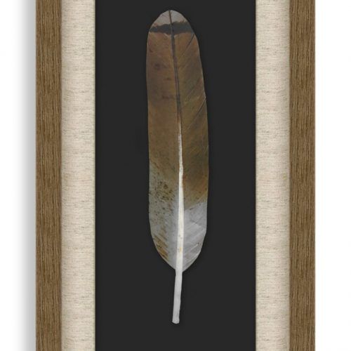 Feather Wall Art (Photo 19 of 20)