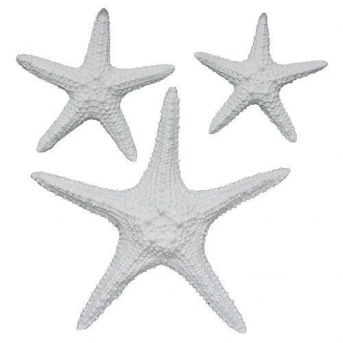 Yelton 3 Piece Starfish Wall Decor Sets (Photo 2 of 20)