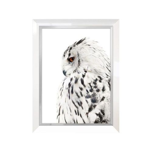 The Owl Framed Art Prints (Photo 17 of 20)
