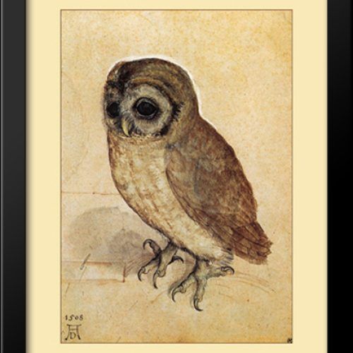 The Owl Framed Art Prints (Photo 16 of 20)