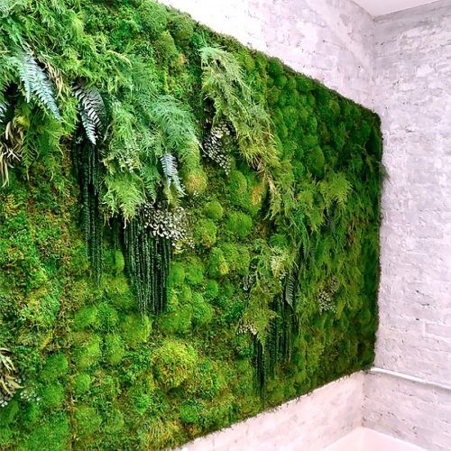 Moss Wall Art (Photo 10 of 20)