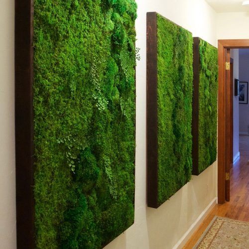 Moss Wall Art (Photo 14 of 20)