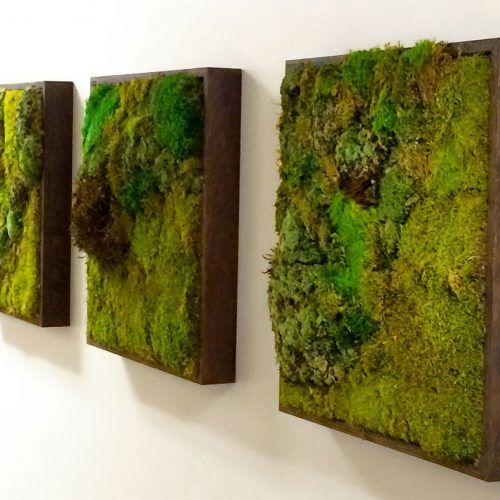 Moss Wall Art (Photo 3 of 20)