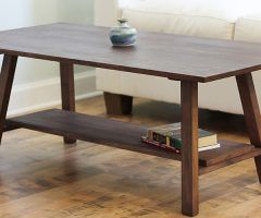 20 Photos Coffee Tables with Shelf