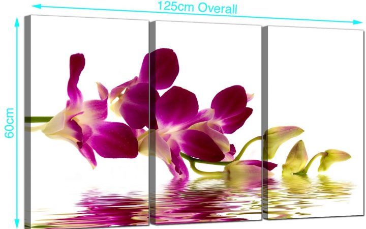 The Best Orchid Canvas Wall Art