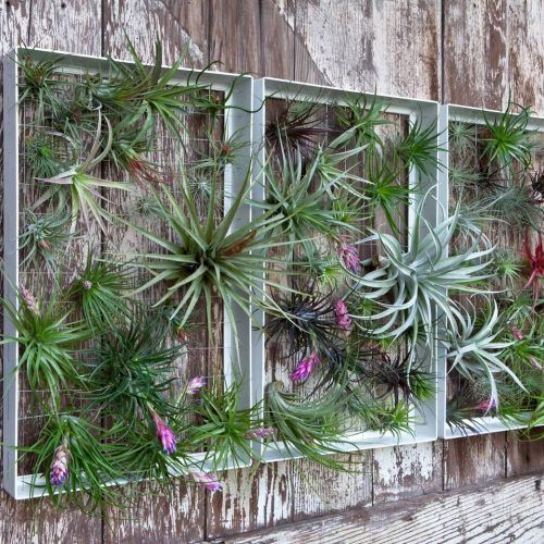 Metal Wall Art For Gardens (Photo 10 of 20)