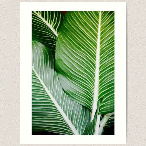 Tropical Leaves Wall Art (Photo 13 of 20)