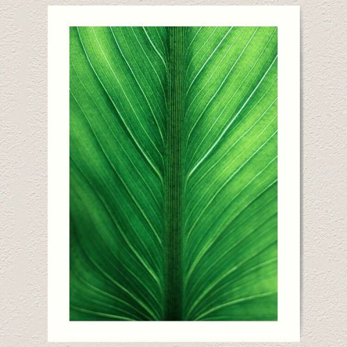 Tropical Leaves Wall Art (Photo 20 of 20)