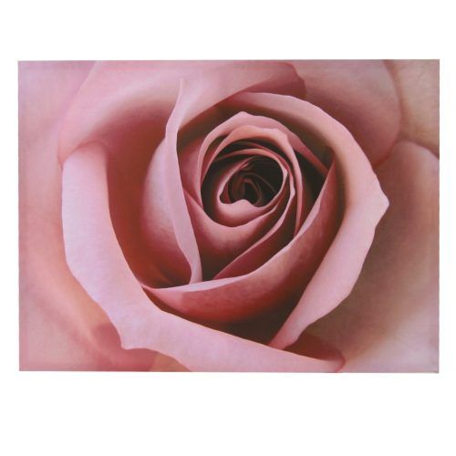 Roses Canvas Wall Art (Photo 2 of 15)