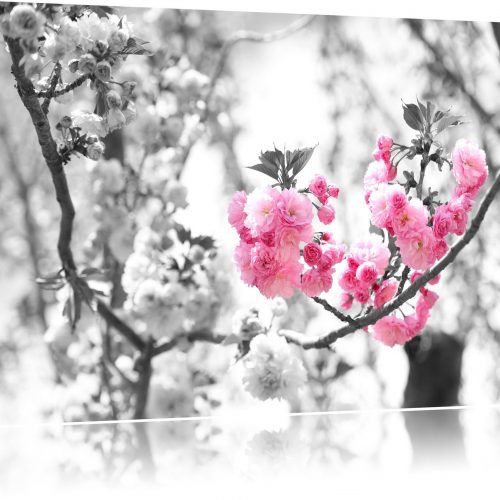 Cherry Blossom Wall Art (Photo 16 of 20)