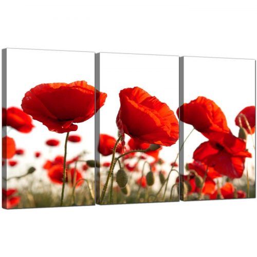 Red Poppy Canvas Wall Art (Photo 3 of 20)
