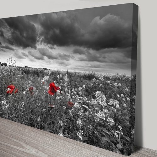 Red And Black Canvas Wall Art (Photo 2 of 20)