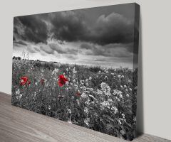 15 The Best Black and White Photography Canvas Wall Art