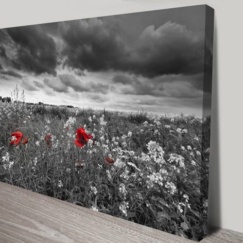 Black And White Wall Art With Red (Photo 12 of 25)