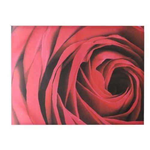 Roses Canvas Wall Art (Photo 6 of 15)
