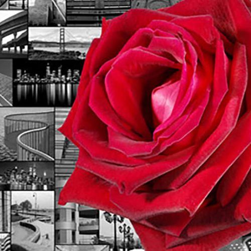 Roses Wall Art (Photo 10 of 20)