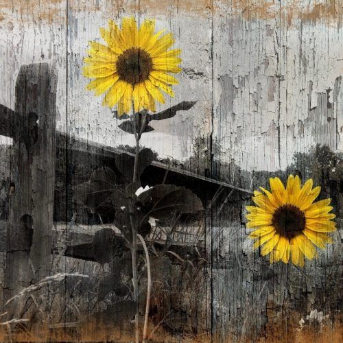 Sunflower Wall Art (Photo 16 of 20)