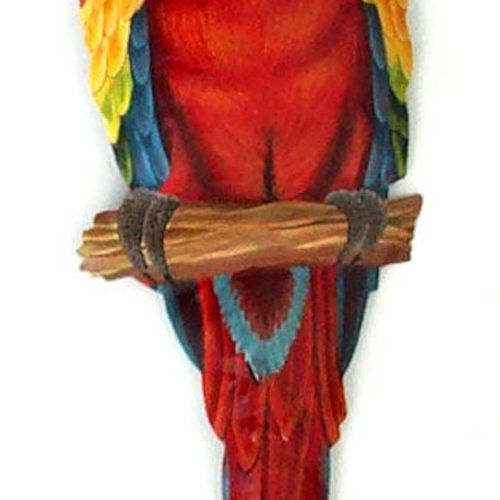 Bird Macaw Wall Sculpture (Photo 7 of 20)