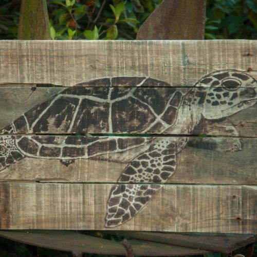 Turtles Wall Art (Photo 18 of 20)