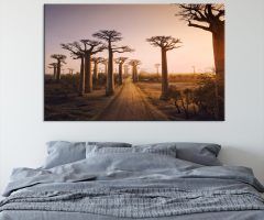  Best 20+ of Acacia Tree Wall Art