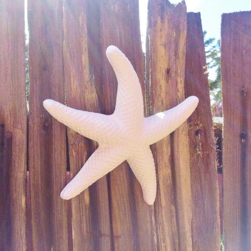 Starfish Wall Art (Photo 6 of 20)