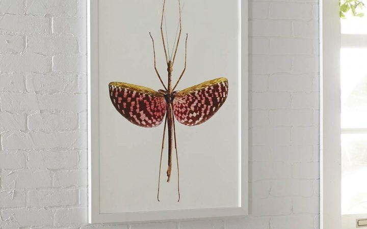 2024 Latest Insect Wall Art