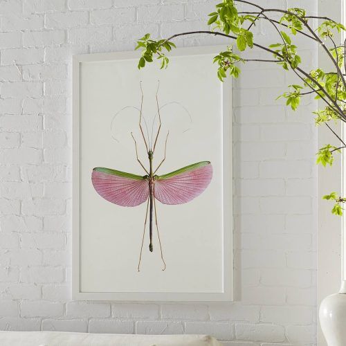 Insect Wall Art (Photo 3 of 30)