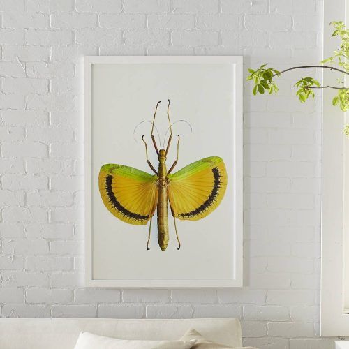 Insect Wall Art (Photo 9 of 30)