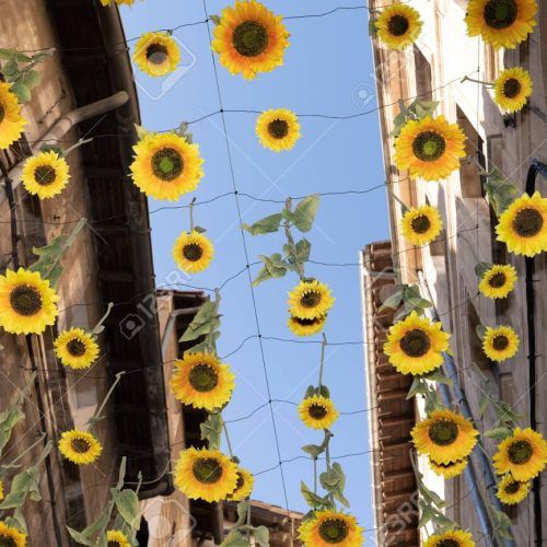 Hanging Sunflower (Photo 3 of 20)