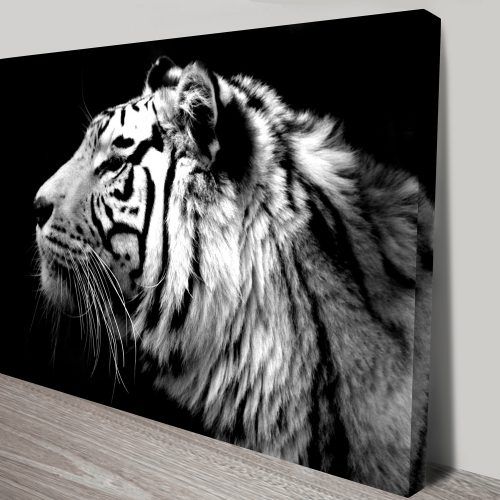 Black And White Photography Canvas Wall Art (Photo 14 of 15)