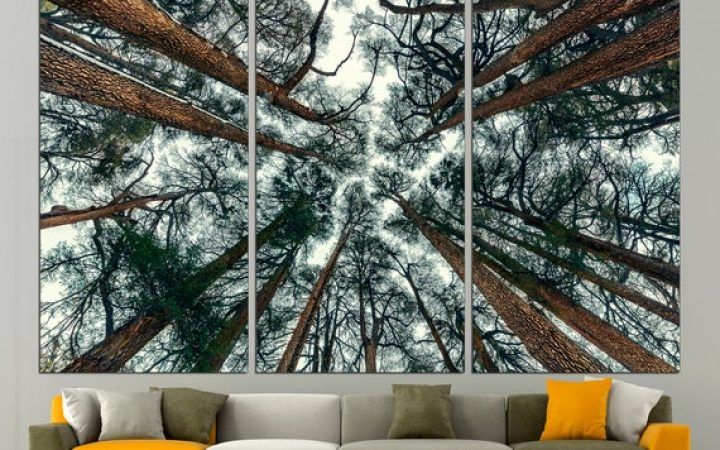 2024 Best of Forest Wall Art