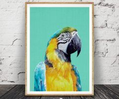 20 Photos Parrot Tropical Wall Art