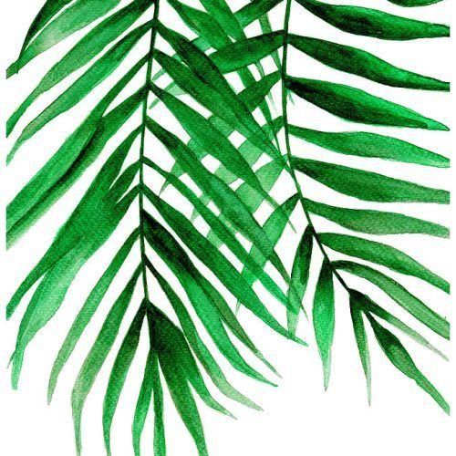 Tropical Leaves Wall Art (Photo 6 of 20)