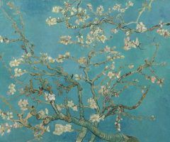 20 Inspirations Almond Blossoms Wall Art