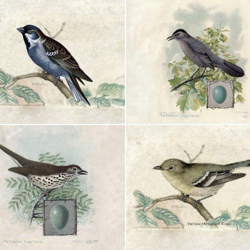 Birds Framed Art Prints (Photo 13 of 15)