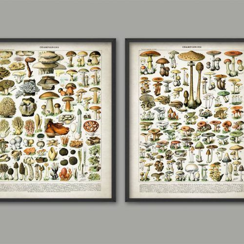 Mushroom Wall Art (Photo 7 of 20)