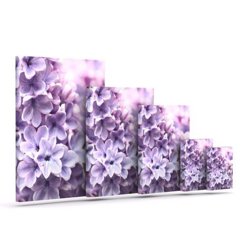 Purple Flowers Canvas Wall Art (Photo 8 of 15)