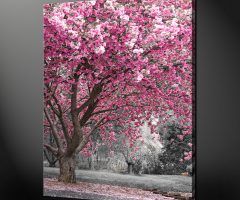 15 Collection of Pink Canvas Wall Art