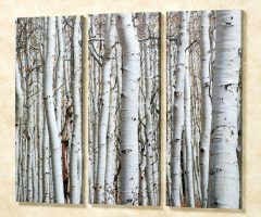 15 Best Collection of Birch Trees Canvas Wall Art
