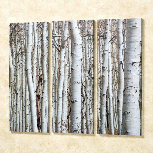 Birch Trees Canvas Wall Art (Photo 1 of 15)