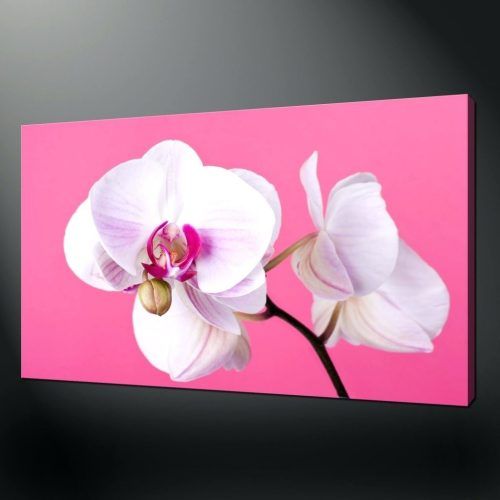 Orchid Canvas Wall Art (Photo 5 of 15)