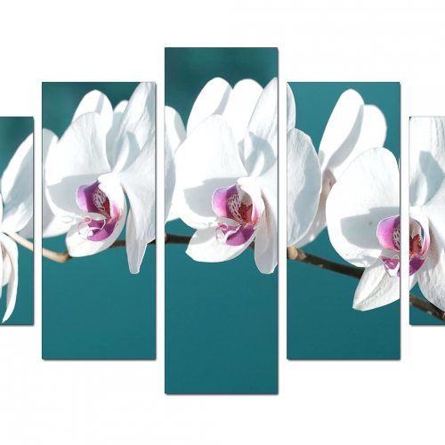Orchid Canvas Wall Art (Photo 8 of 15)